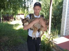 Тварин з "сірої зони" на Харківщині врятували волонтери