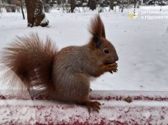 Синоптики прогнозируют очень холодный понедельник в Харьковской области