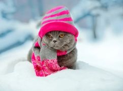 Погода в Харькове на 21 февраля: что прогнозируют синоптики