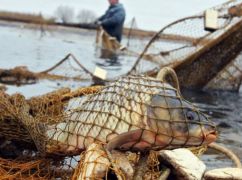 На Харківщині у браконьєра забрали човен, сітку та 18 кг риби