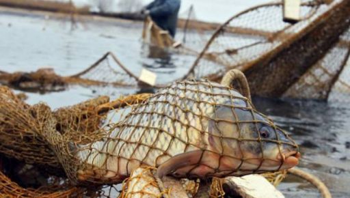 В Харьковской области у браконьера забрали лодку, сетку и 18 кг рыбы