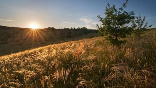 На деокупованій Харківщині за рішенням суду визначать територіальні межі заповідника