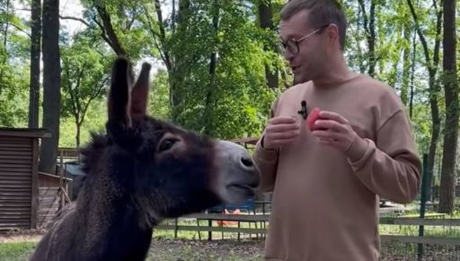 До харківського Екопарку привезли віслюка з прифронтової Костянтинівки