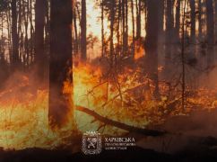 Пожежна небезпека на Харківщині: у "червоній" зоні шість населених пунктів
