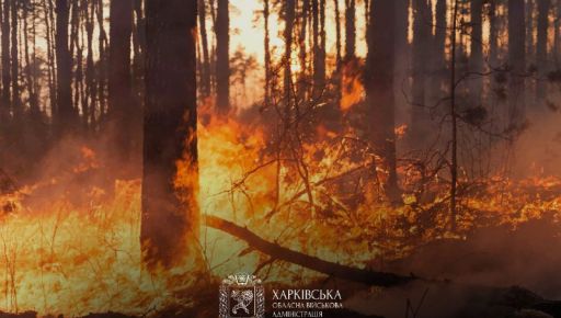 Пожарная опасность в Харьковской области: в "красной" зоне шесть населенных пунктов