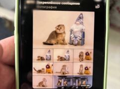 В Харькове молодые мошенники торговали через интернет несуществующими котами и собаками