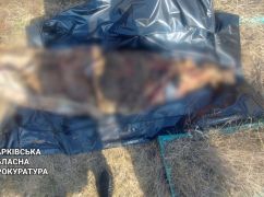 На Харьковщине эксгумировали тело пожилой женщины, убитой россиянами