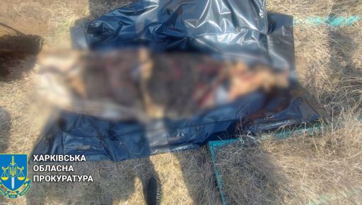 На Харьковщине эксгумировали тело пожилой женщины, убитой россиянами