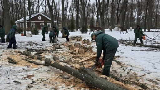 У Центральному парку Харкова знайшли пару кажанів (ФОТОФАКТ)