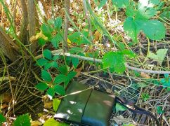 В Чугуеве мужчина украл через мобильный банкинг более 5 тыс. грн