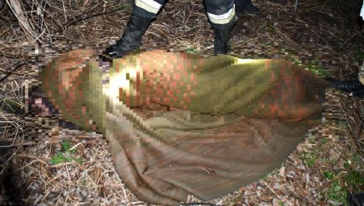 Убивство в новорічну ніч: У селі на Харківщині знайшли тіло в килимі