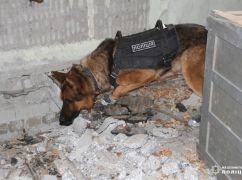 Харківські поліцейські залучають до роботи службових собак з Європи