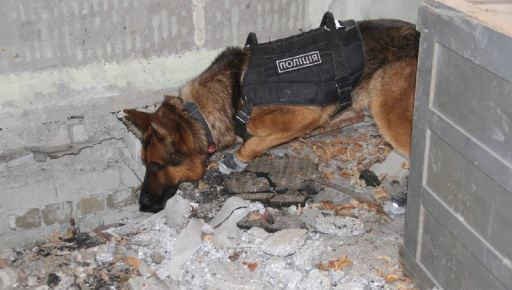 Харьковские полицейские привлекают к работе служебных собак из Европы