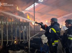 Російський обстріл знищив худобу на сільгосппідприємстві Харківщини