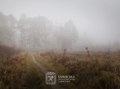 Синегубов предупредил об ухудшении погодных условий на Харьковщине 5 ноября