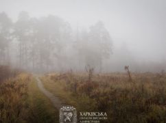 Якої погоди чекати в Харкові та області 8 листопада: прогноз синоптиків