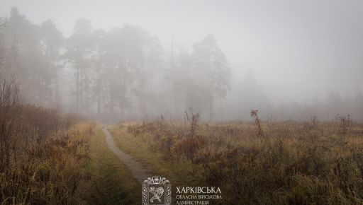 Якої погоди чекати в Харкові та області 8 листопада: прогноз синоптиків