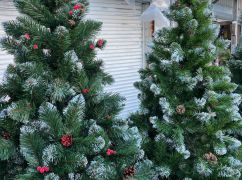 Праздники приближаются: Сколько стоит искусственная новогодняя елка в Харькове