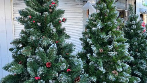 Праздники приближаются: Сколько стоит искусственная новогодняя елка в Харькове