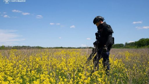 На Харківщині сапери за тиждень знешкодили понад 870 ворожих мін