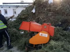 В Харькове начали утилизацию новогодних елок