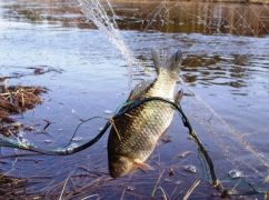 На Харківщині схопили двох браконьєрів, які виловили рибу на понад 250 тис. грн