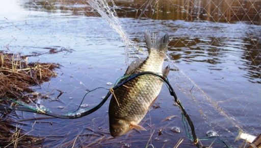 На Харьковщине схватили двух браконьеров, которые выловили рыбу более чем на 250 тыс. грн