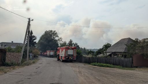 В Харьковской области вернули свет селам после масштабного лесного пожара