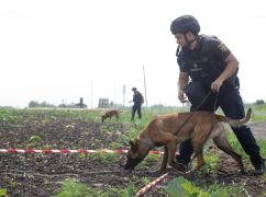 На Харківщині проведуть розмінування в Ізюмському районі: де та коли