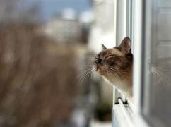 Тепло і сонячно: прогноз погоди у Харкові на 11 березня