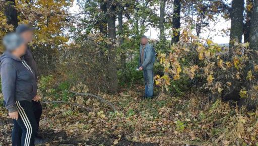 На Харьковщине черному лесорубу грозит 7 лет заключения