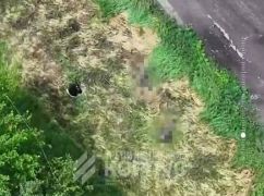 Защитники показали, как оккупанты бросают все и убегают от ВСУ вблизи Харьковщины