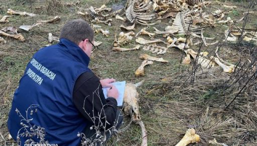В Харьковской области нашли "кладбище" животных костей: кадры с места