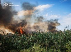 На Харківщині вогонь охопив поля біля дороги на Балаклію