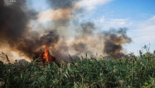 На Харківщині вогонь охопив поля біля дороги на Балаклію