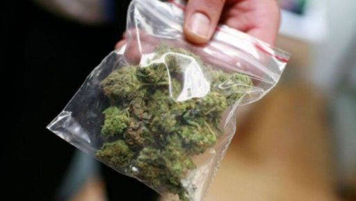 На "чорному ринку" Харківщини вилучили психотропи та канабіс на понад 6,6 млн грн