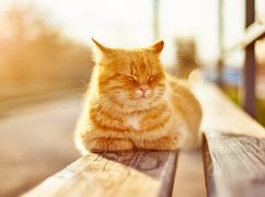 Что ждет Харьков 9 марта: прогноз погоды