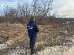 В Харьковской области будут судить бывшего чиновника за махинации с лесными землями