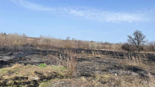 На Харьковщине женщина заживо сгорела, выжигая сухую траву
