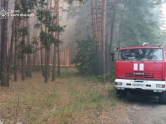 На Харківщині загасили ліс, який палав на площі 5 га