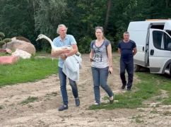 У харківському Екопарку поселили врятованого лебедя