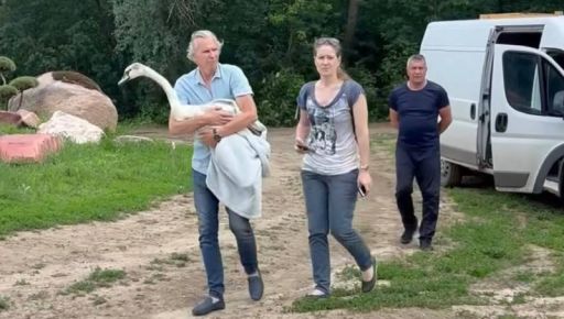 В харьковском Экопарке поселили спасенного лебедя