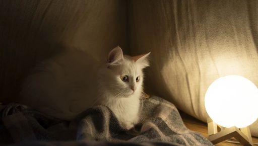 Частина Київського району Харкова залишиться без світла 4 жовтня