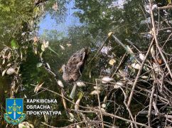 Массовый мор рыбы под Харьковом: Полиция устанавливает причины