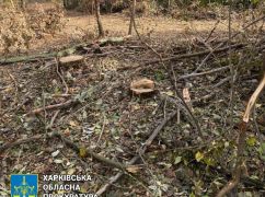 На Харківщині судитимуть чорних лісорубів, що "напиляли" майже на 650 тис. грн