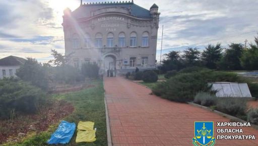 На Харьковщине разоблачили женщину, которая разорвала в клочья Государственный флаг возле поселкового совета