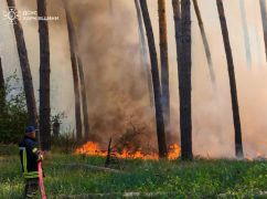 В экосистемах Харьковщины за сутки ликвидировали 21 пожар - ГСЧС
