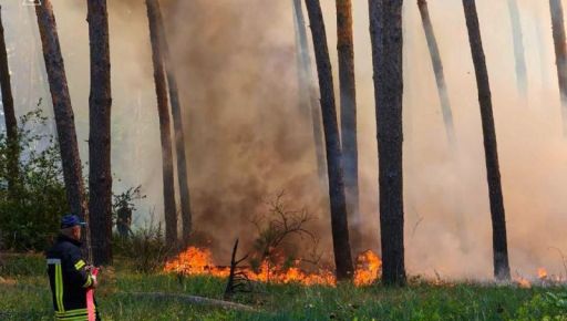 В екосистемах Харківщини за добу ліквідували 21 пожежу - ДСНС