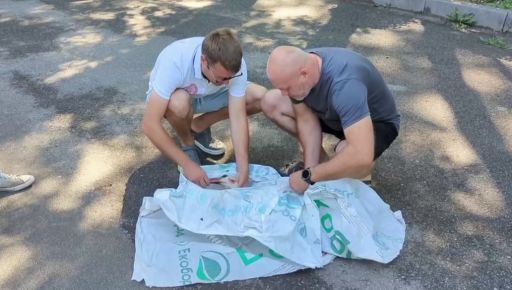 Под Харьковом в экопарк доставили раненого аиста: птица борется за жизнь