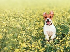 Дождь и холод: что прогнозируют синоптики в Харькове на 10 апреля